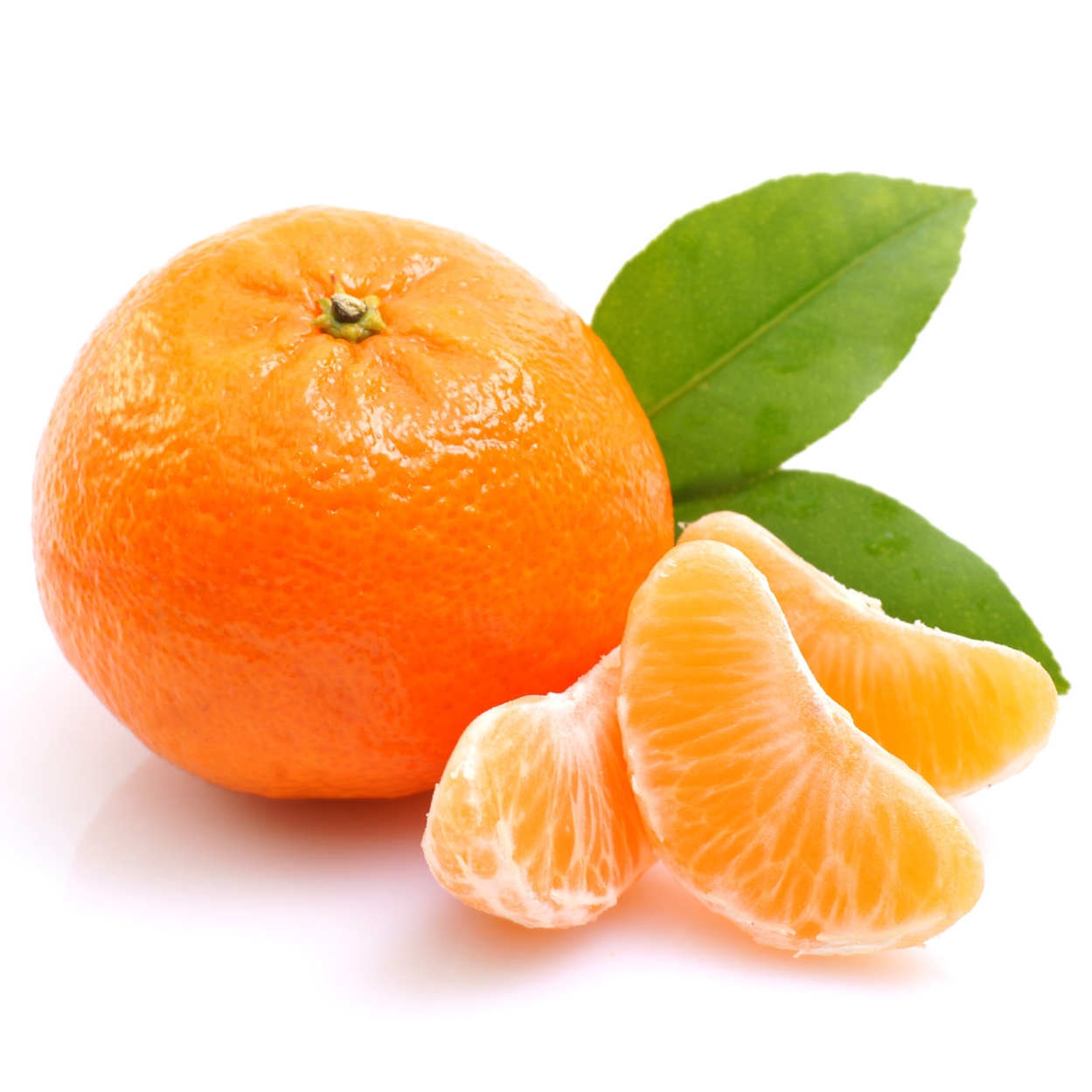 calamondin